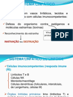 17092018191253Aula-02 - Sistema Linfático - Imunologia - academico.pdf