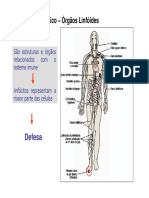 Aula_Linfoide.pdf