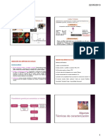 Tecnicas de Caracterizacion