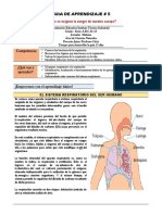 Guia de Aprendizaje #1 Sistema Respiratorio Humano