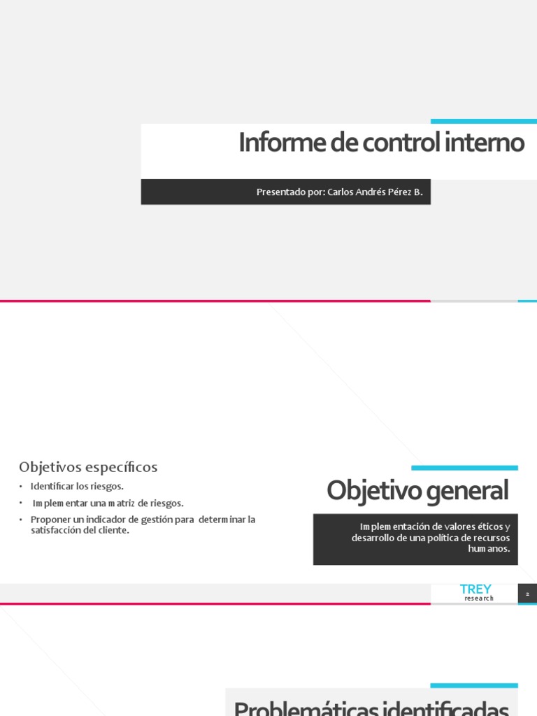 Informe de Control Interno | PDF | café | Riesgo