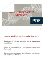 Nucleotidos y Acidos Nucleicos.pptx
