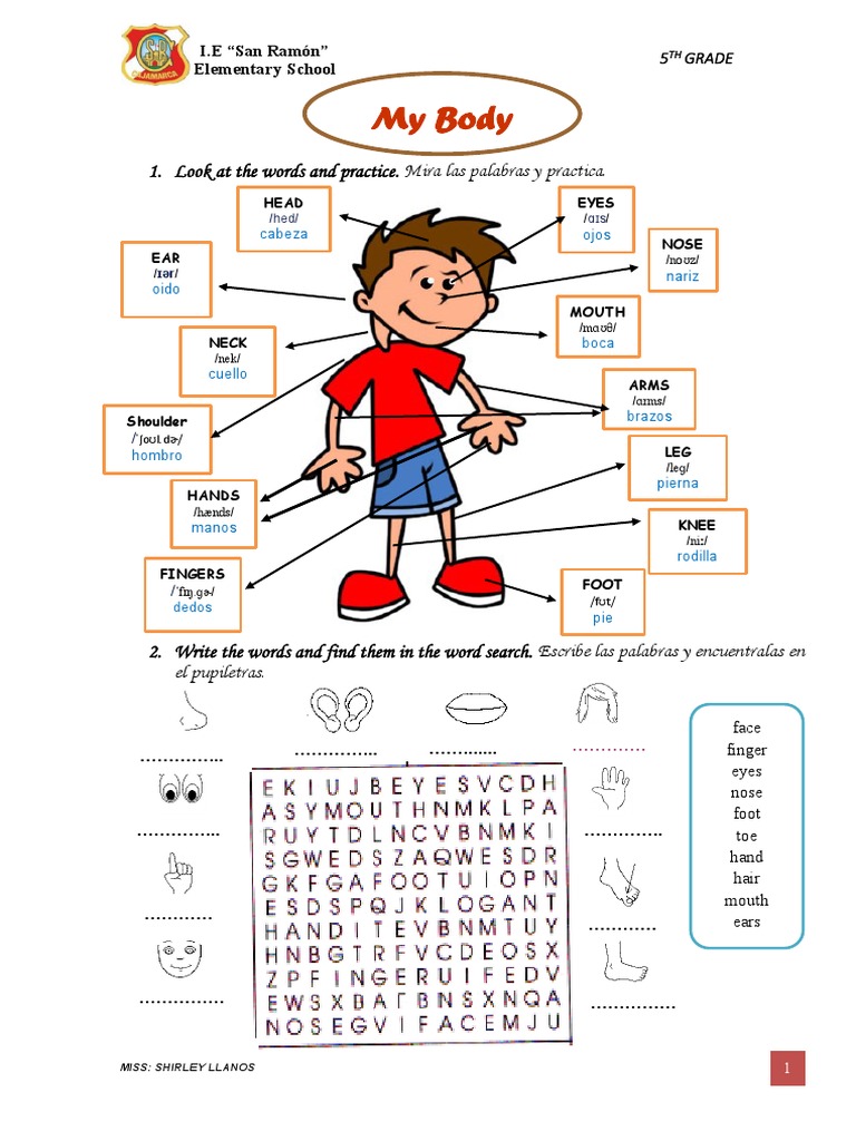 Parts of The Body Session 11 Fifth Grade | PDF