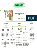 Esquema de Histología de Las Plantas