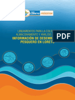 DIREPRO_Lineamientos-02.pdf