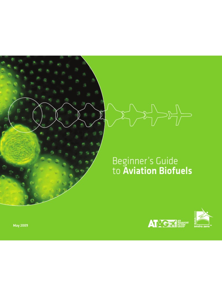 Aviation Biofuels: A Beginner's Guide | PDF | Biofuel | Biomass