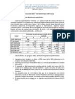 Especificaciones para Tratamientos Superficiales PDF