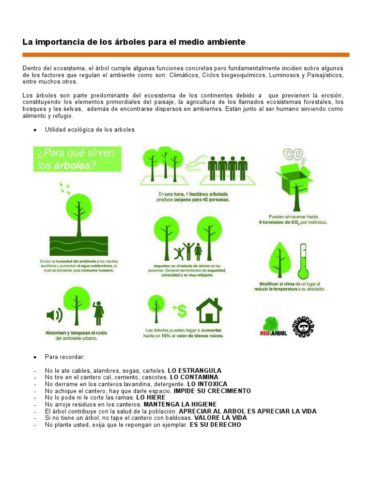 2 La Importancia de Los Arboles para El Medio Ambiente | PDF