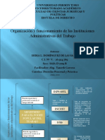 Organización y Funcionamiento de Las Instituciones Administrativa Del Trabajo - ERIKA - D
