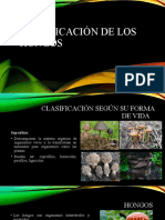 Clasificación de Los Hongos