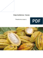 cacao-2.pdf