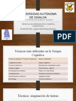 Técnicas Intervención Cognitivo Conductual