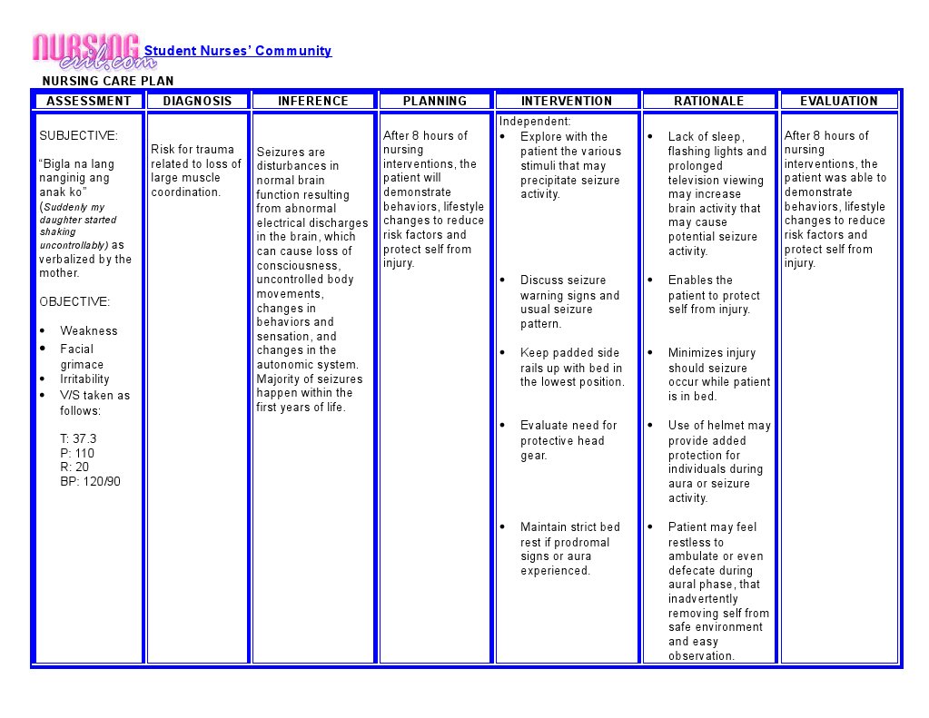 nursingcrib-nursing-care-plan-seizure-nursing-behavior