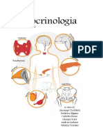 Endocrinologia 2019 - IV D Catania 2019/20