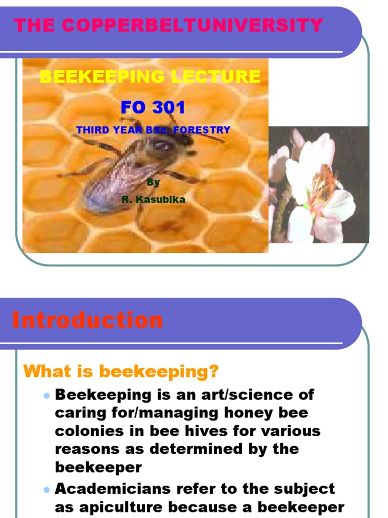 Beekeeping Lecture1 PDF Honey Bee Beekeeping