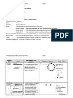 Lesson Plan Hoki