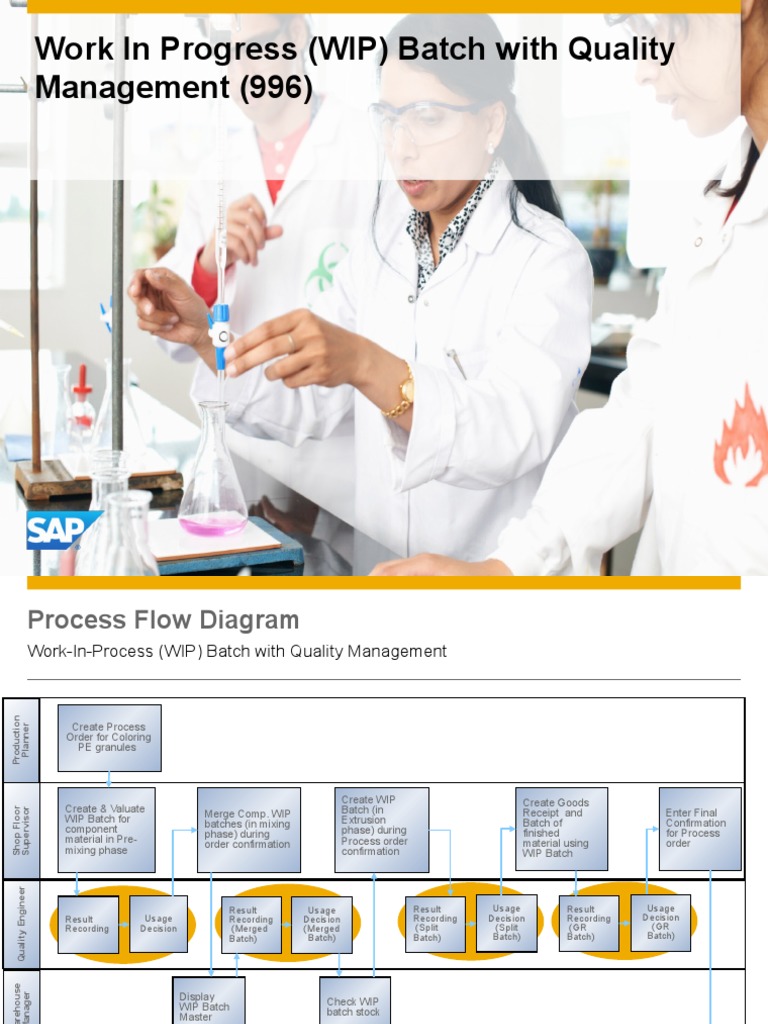 Work in Progress (WIP) Batch With Quality Management | PDF | Sap Se ...