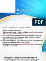 Rhizobium characteristics and isolation