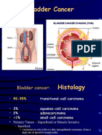 Bladder Cancer 2