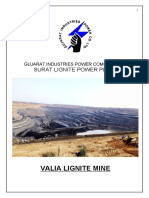Valia Mine Profile GLMSW 2020-21, Updated As On 15.08.20