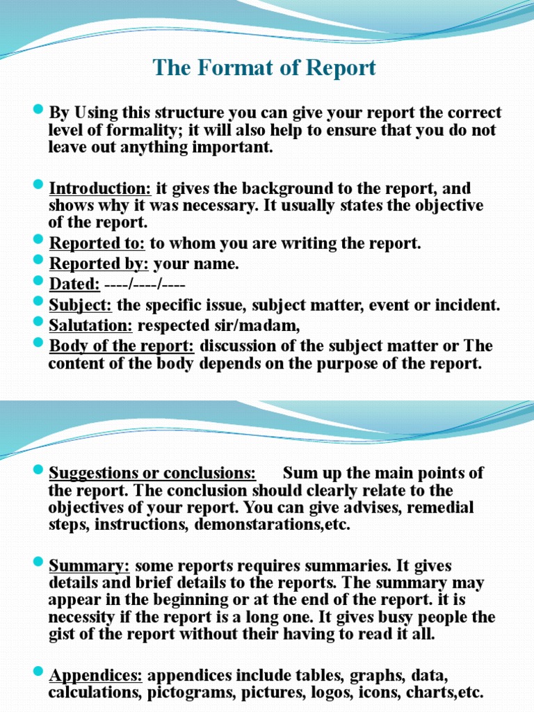 The Structure of The Report | PDF