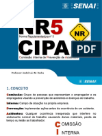 260170294-214699514-AULA-CIPA.ppt