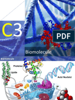Curs-3-Biomolecule.pptx