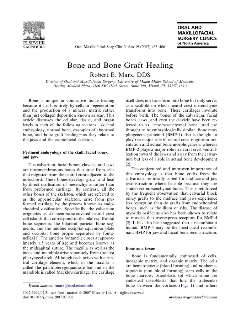 Bone and Bone Graft Healing | PDF | Bone | Osteoblast