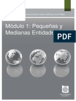 1_PequenasyMedianasEntidades (1).pdf