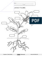 PLANTAS y Flore PDF