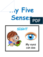 5 Senses - What I See, Feel, Hear, Smell and Taste