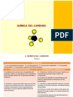 Quimica Del Carbono PDF