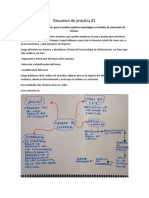 Resumen de Práctica