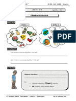 Terminos Excluidos PDF