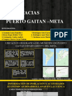 Puerto Gaitán - Meta CALIDAD AMBIENTAL