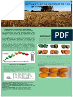 Infografia Darly Semana 7 PDF