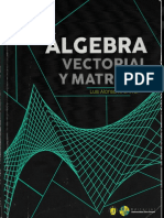 Libro de Álgebra Vectorial y Matrices Luis Alonso Arenívar.pdf