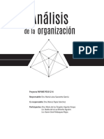 Analisis de La Organizacion PDF