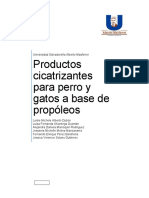 Productos_cicatrizantes_para_perro_y_gat.docx