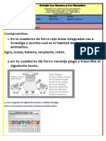 Transicion 13 Agosto PDF