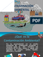 Contaminacion Ambiental