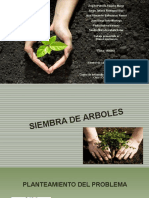 Presentación Siembra de Arboles