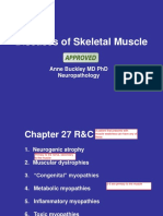 Diseases of Skeletal Muscle Final