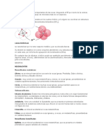 SILICATOS INFORME.docx