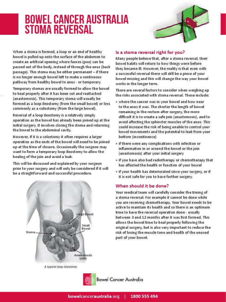 Bowel Cancer Australia Stoma Reversal PDF Colorectal Cancer Surgery
