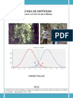 prueba_hipotesis_2012.pdf