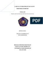 Makalah Piriformis Sindrome - Aisyah - 039 PDF
