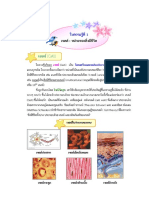 2 เซลล์ หน่วยของสิ่งมีชีวิต PDF