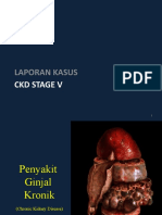 Penyakit Ginjal Kronik