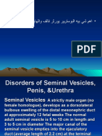 Disorders of Seminal Vesicles, Penis, &